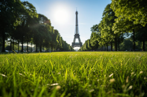 Comment trouver du gazon de qualité à Paris ?