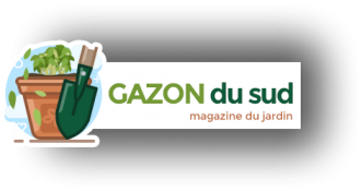Gazon du sud : Magazine du jardin
